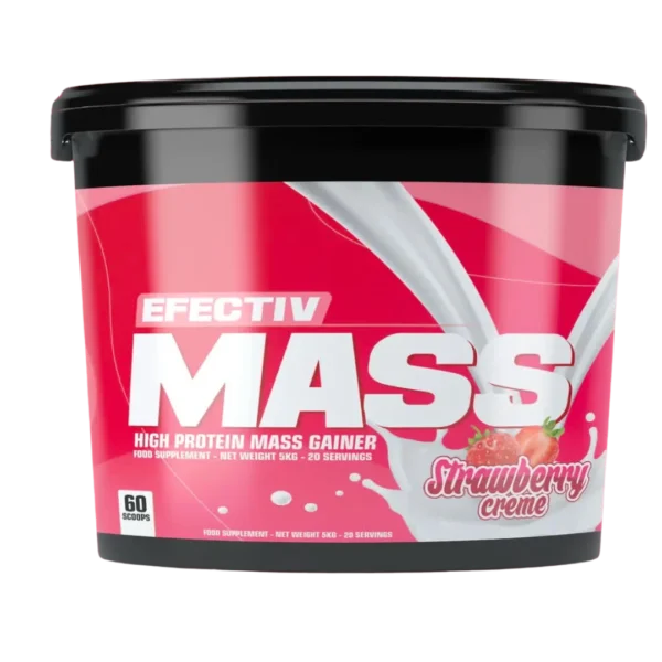مس گینر 5کیلویی افکتیو|EFFECTIVE MASS GAINER 5kg - Image 3