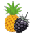 Blackberry Pineapple