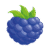 Blue Raspberry