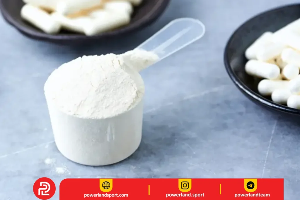 بهترین مارک بتا آلانین